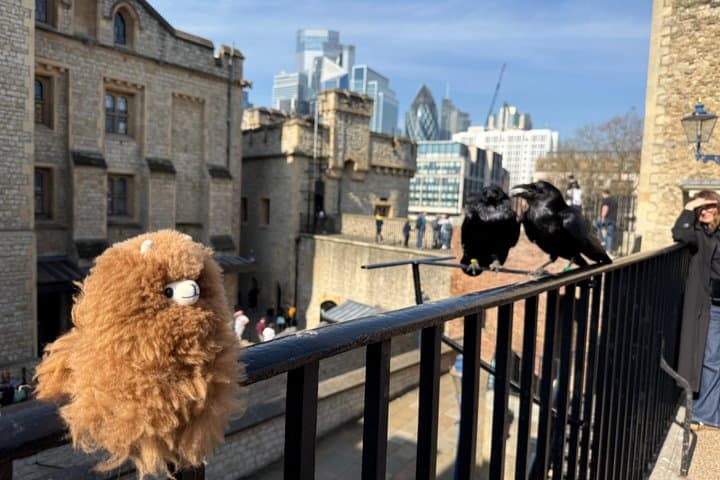 Tower of London Private Guided Tour - Not All Guests Left Alive