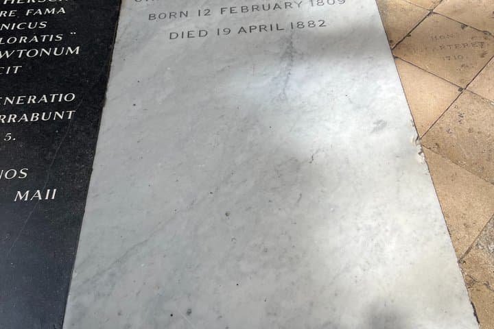 Shared Walking Tour to Westminster with Blue Badge Guide
