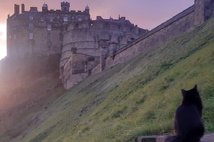 The Ultimate Edinburgh Shore Excursion Taxi and Walking Tour