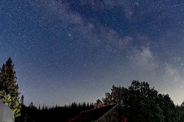 Admission Ticket to Grizedale Observatory in Ambleside