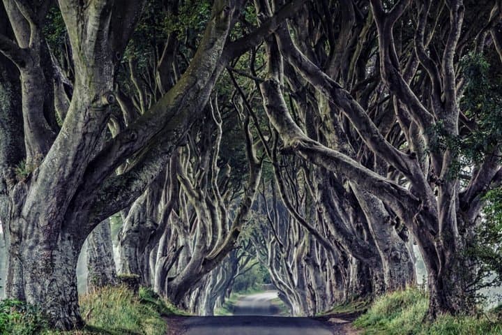 Giants Causeway Tour Northern Ireland