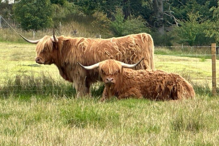 Loch Ness, Cawdor Castle, Outlander Sites & More from Inverness