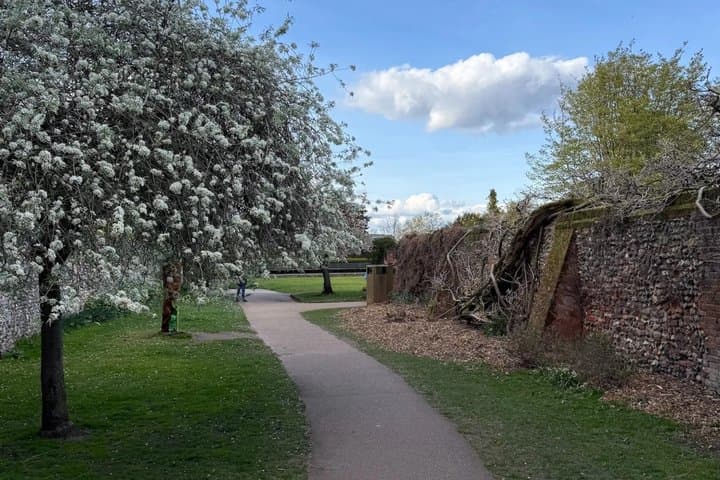 Bury St Edmunds' Abbey Ruins: A Self-Guided Walking Tour
