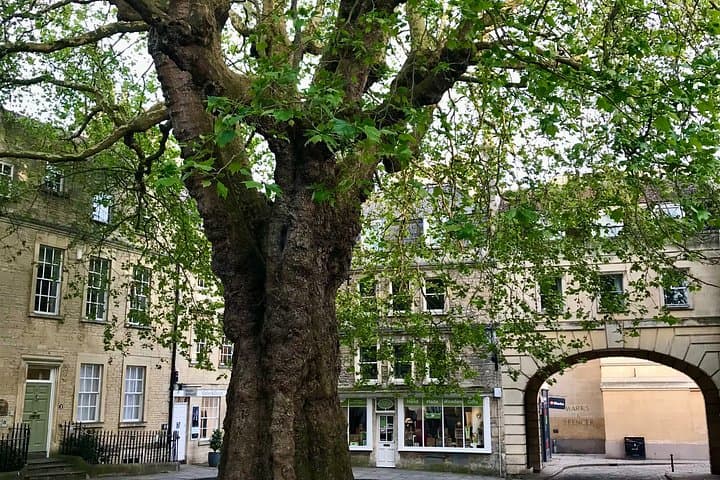 Private Guided Day Tour to Bath from London