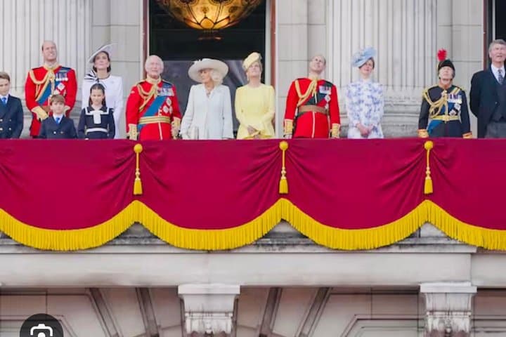 Private Walking Tour to London Museum or Buckingham Palace