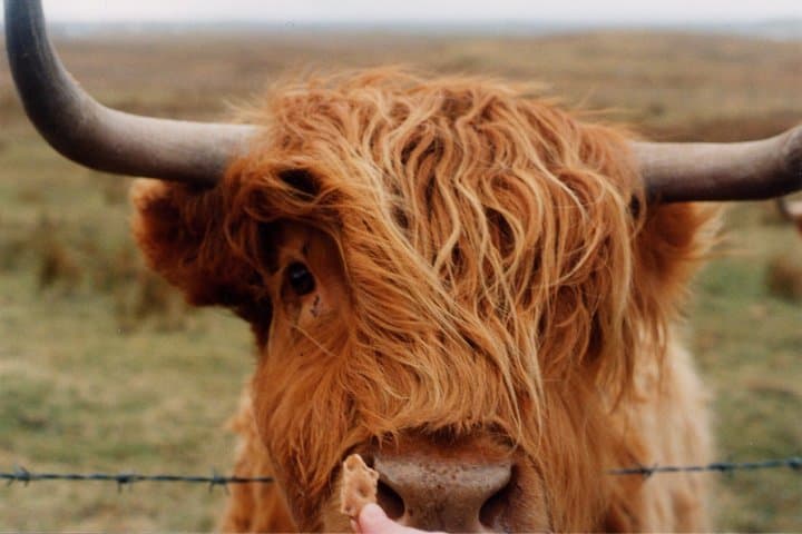 5 Days Ultimate Scottish Highlands Adventure Tour