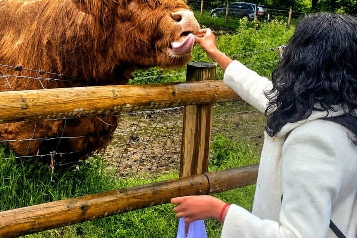 Scottish Highlands Glencoe Private Tour from Edinburgh