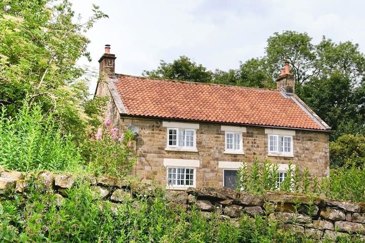 Afternoon Tour North York Moors National Park