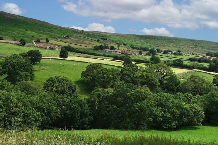 Afternoon Tour North York Moors National Park