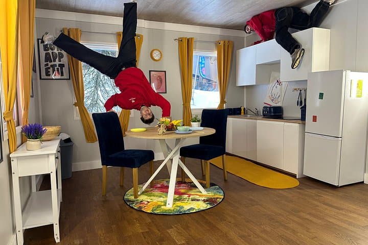 Upside Down House Bristol Entry Ticket