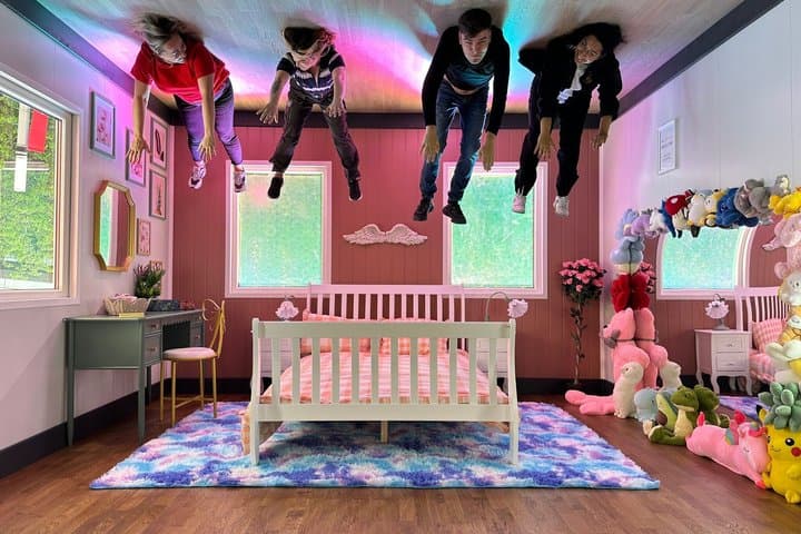 Upside Down House Liverpool Entry Ticket