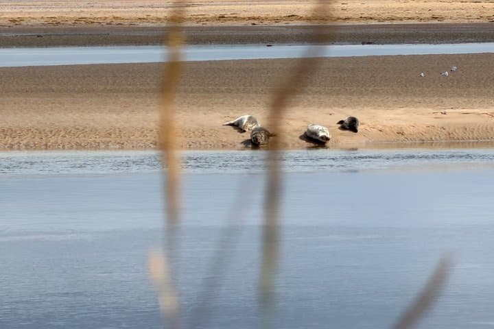 Private Invergordon Shore Excursion Luxury Highland Dornoch Trip