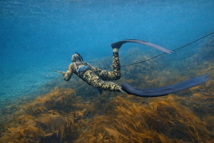 Private Guided Spearfishing in Cornwall