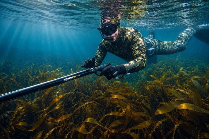 Private Guided Spearfishing in Cornwall