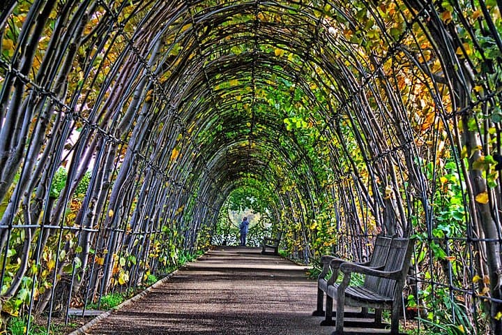 Kensington Palace and Gardens Private Guided Tour