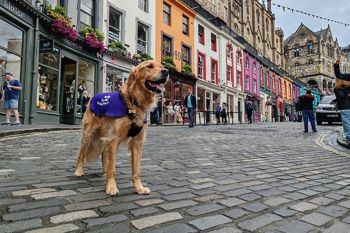 Edinburgh Storytelling Walk Makars' Court to Greyfriars Bobby