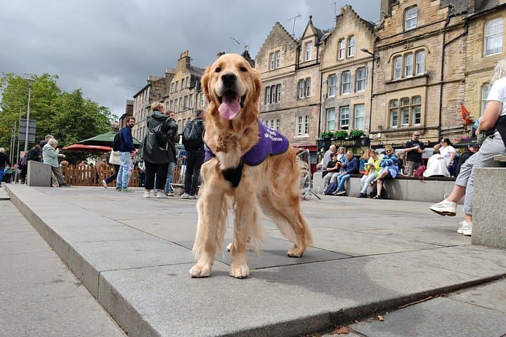 Edinburgh Storytelling Walk Makars' Court to Greyfriars Bobby
