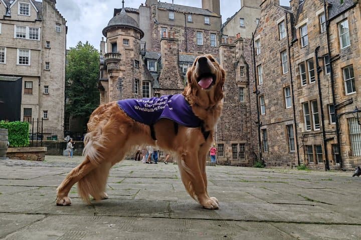 Edinburgh Storytelling Walk: Makars Court to St Giles Cathedral