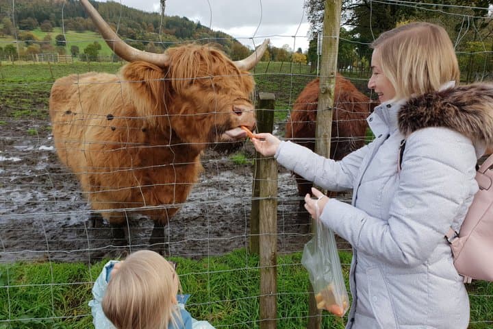 Loch Ness, Glencoe and the Highlands Private Day Tour