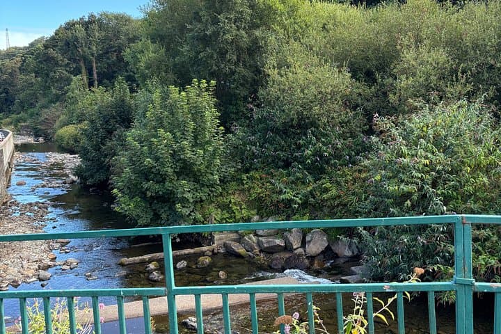 Snaefell Mountain Railway + The Great Laxey Wheel (Lady Isabella)