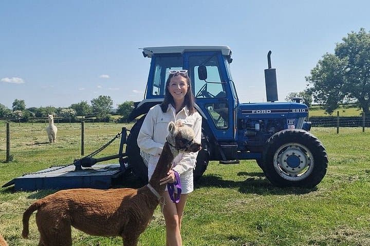 Alpaca Breeding Farm Talk n Trek with Refreshments