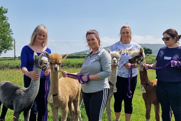 Alpaca Breeding Farm Talk n Trek with Refreshments