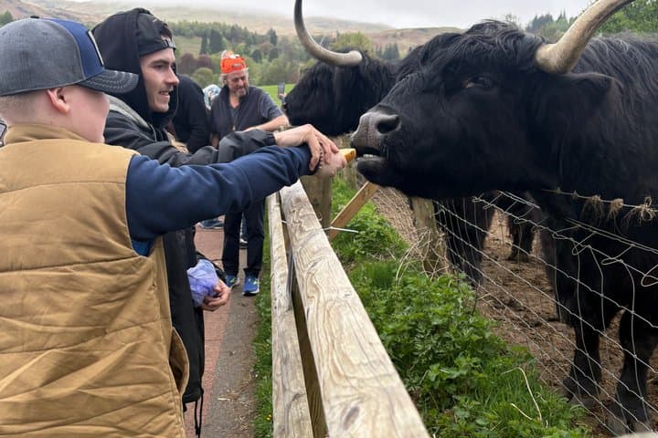 Glasgow Shore Excursion: Loch lomond to Stirling Castle