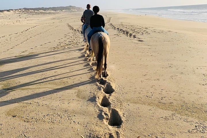Tain Horse Ride Shared Group Activity
