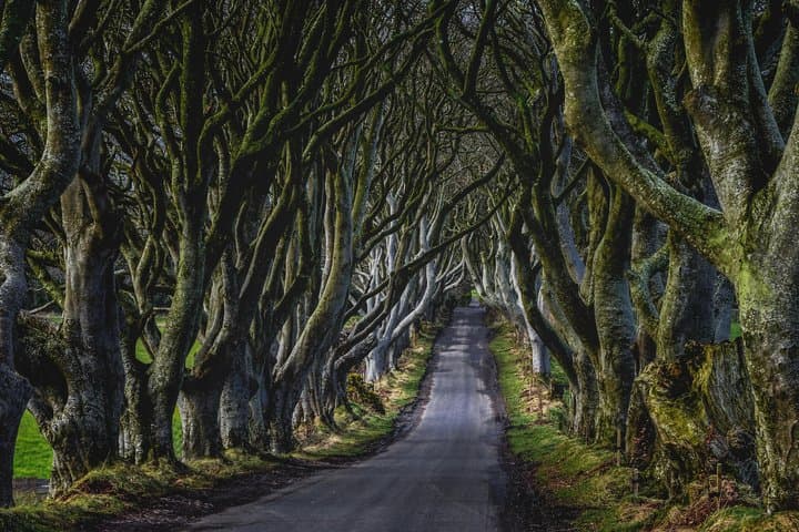Express Giant's Causeway Private Tour by Luxury Minivan