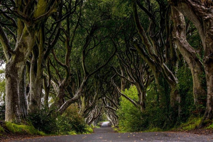 Express Giant's Causeway Private Tour by Luxury Minivan