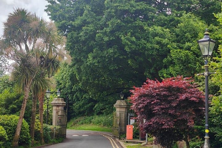 Belfast Highlights Full Day Luxury Minivan Tour