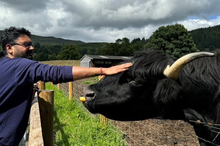 Glasgow: Loch Lomond, the Trossachs and Stirling Castle