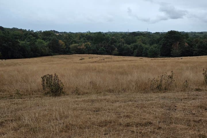 1066 Battle of Hastings Guided Tour