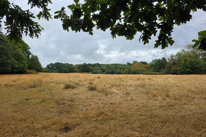 1066 Battle of Hastings Guided Tour