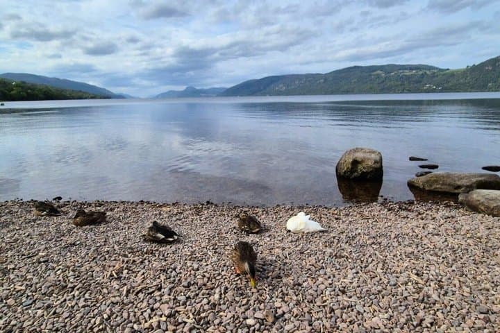 Private Tour Invergordon Port -Loch Ness and Culloden Battlefield