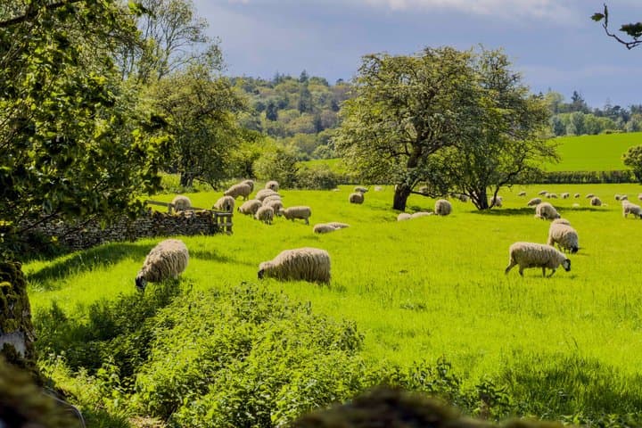Cotswolds Hidden Gems Private Luxury Local Guide Tour from London