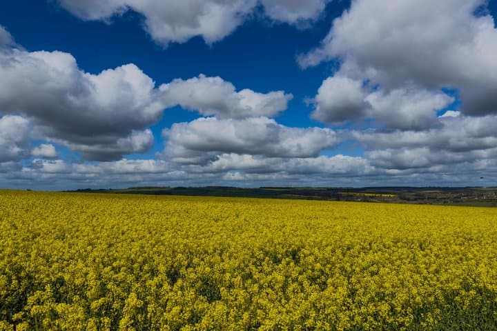 Clarkson's Farm Private Cotswolds Tour