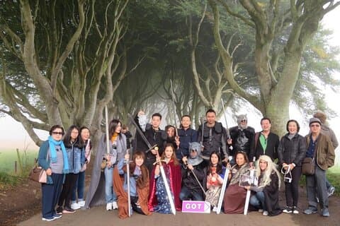 The Dark Hedges