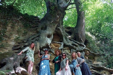 A Tour of Glastonbury, Guided by the Trees.