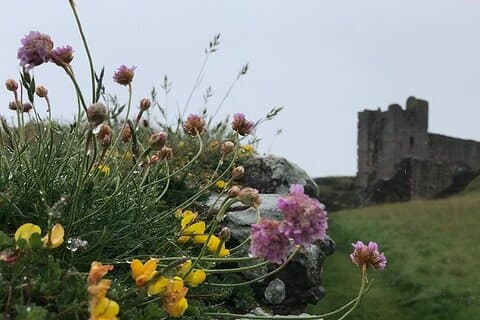 Haunted Northumberland Tours: Chillingham Castle & Coastal Ghosts