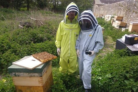 Bee a Beekeeper - Experience the Buzz