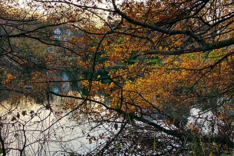 Walk in Hampstead Heath