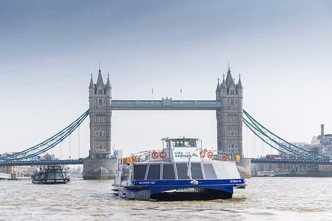 One-Day Unlimited City Cruises River Pass