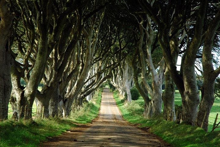 The King's Road