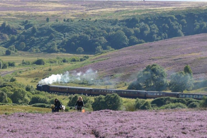 Steam Train crossing the North York Moors