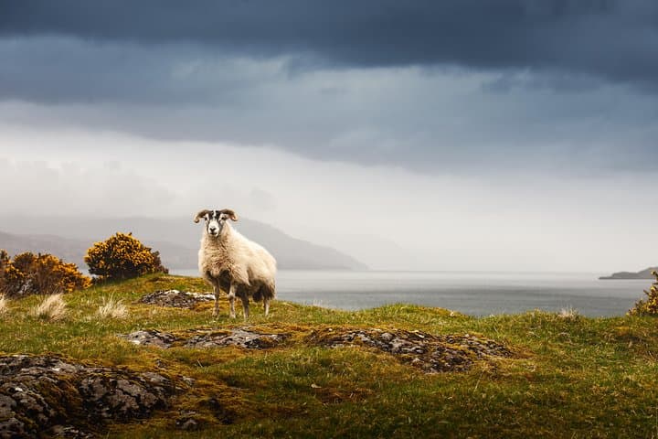 5-Day Iona, Mull and the Isle of Skye Small-Group Tour from Edinburgh