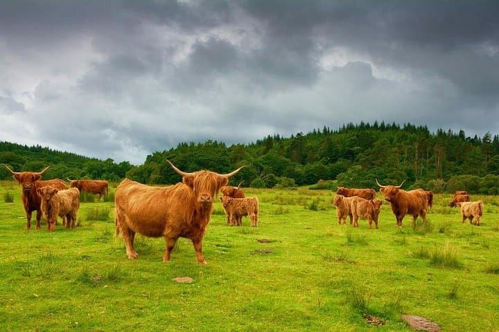 Inverness to Edinburgh Private Luxury Transfers
