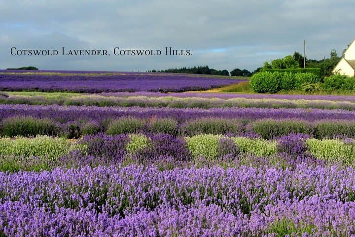 Private Day Tour from London - Stonehenge and Bath
