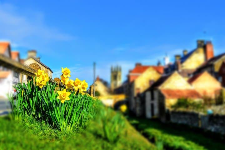 Helmsley in Spring