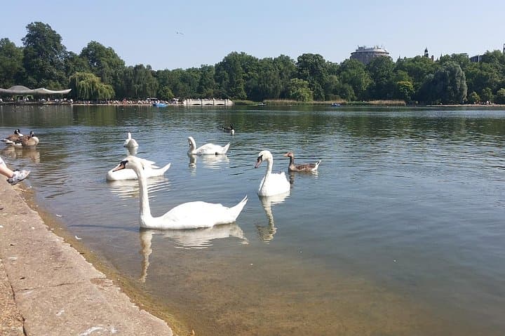 Half Day London Tour by Public Transportation